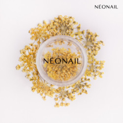 Květinová Dekorace 07| 11088 Květinová Dekorace 07| 11088